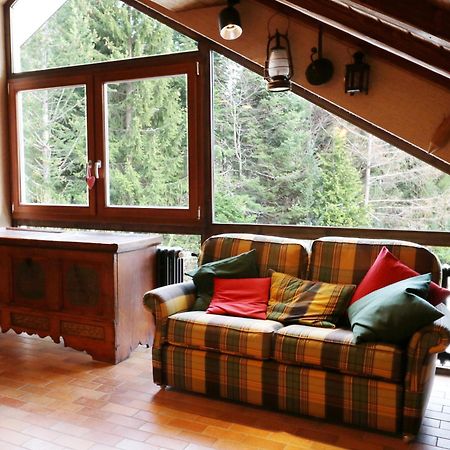 Fewo Schwarzwaldblick, 3 Schlafzimmer Todtnau-Muggenbrunn, Liftverbund Feldberg Luaran gambar