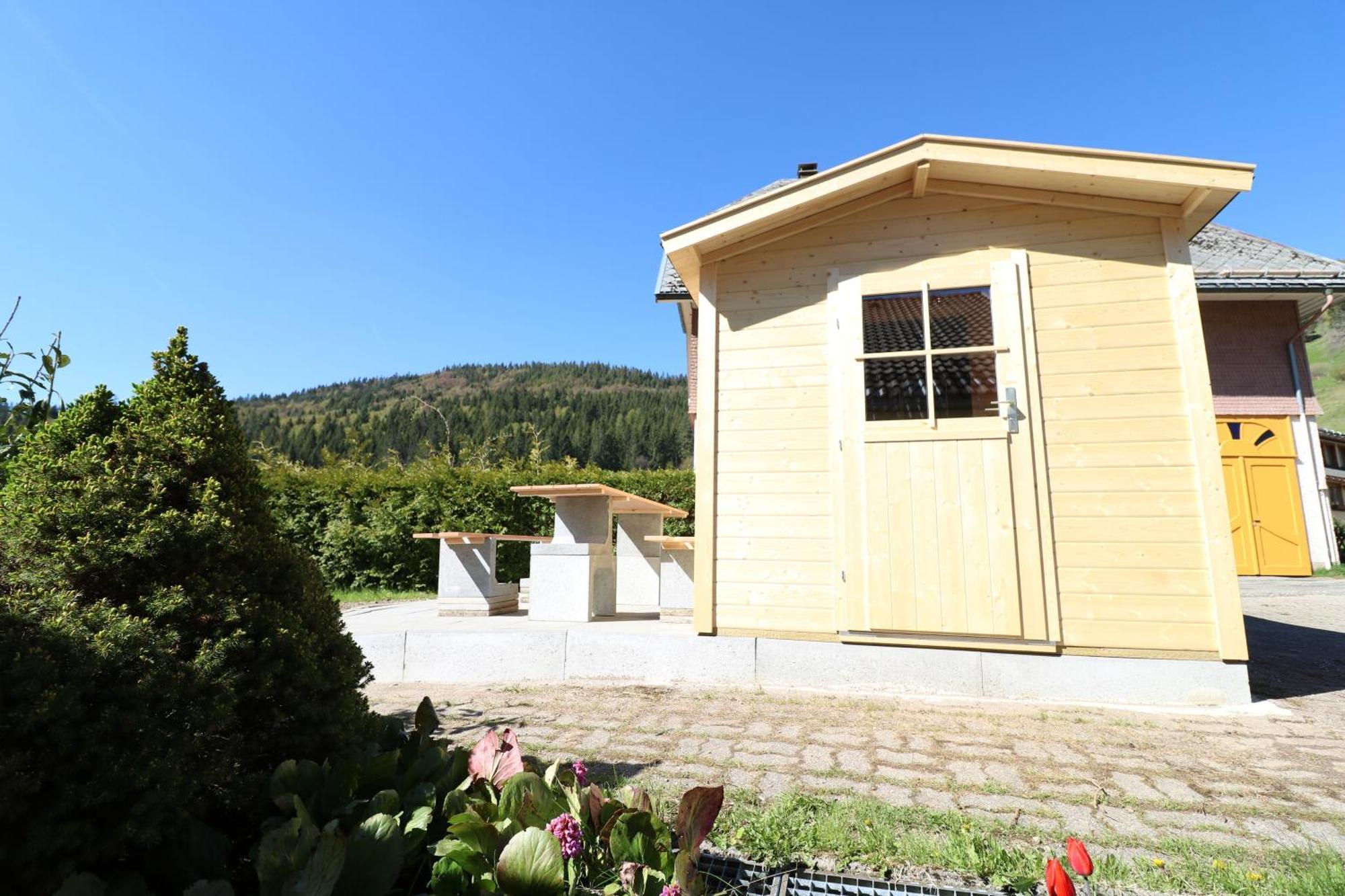 Fewo Schwarzwaldblick, 3 Schlafzimmer Todtnau-Muggenbrunn, Liftverbund Feldberg Luaran gambar