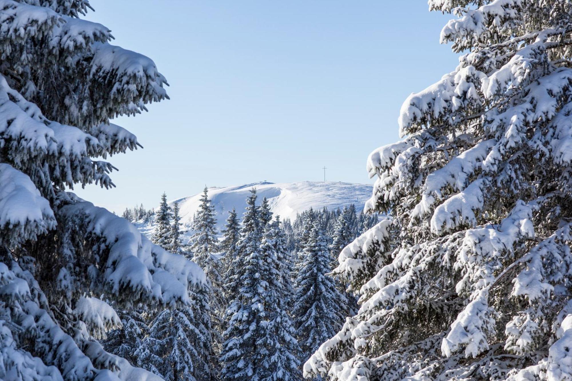 Fewo Schwarzwaldblick, 3 Schlafzimmer Todtnau-Muggenbrunn, Liftverbund Feldberg Luaran gambar