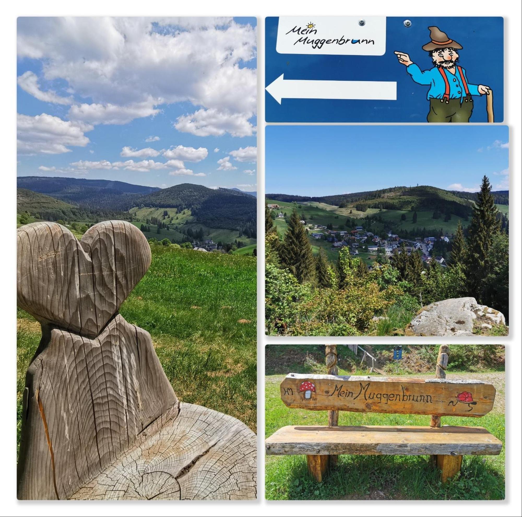 Fewo Schwarzwaldblick, 3 Schlafzimmer Todtnau-Muggenbrunn, Liftverbund Feldberg Luaran gambar